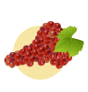 葡萄
